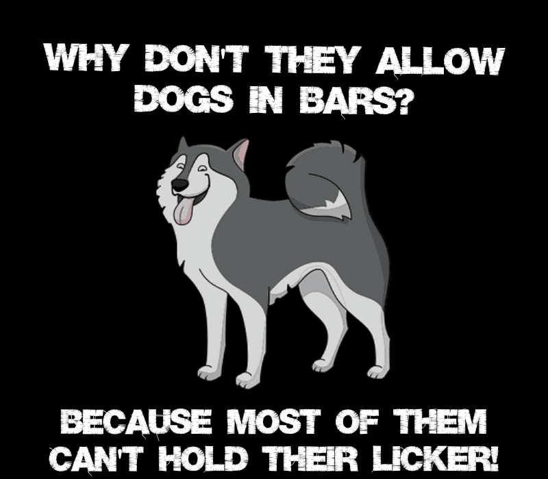   Hvorfor ikke't they allow dogs in bars? Because most of them can't hold their licker!