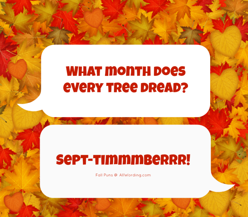 Quel mois chaque arbre redoute-t-il ? Sept-timmmmberrr !