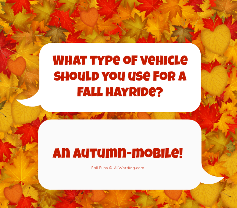 Quel type de véhicule devriez-vous utiliser pour une balade en automnale? Un mobile d'automne !