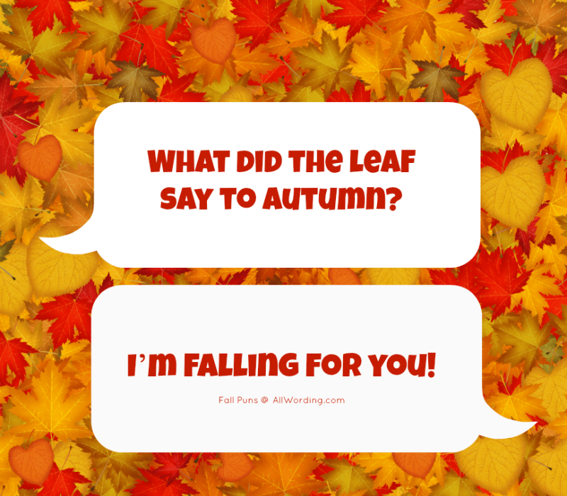 Qu'est-ce que la feuille a dit à l'automne ? je'm falling for you!