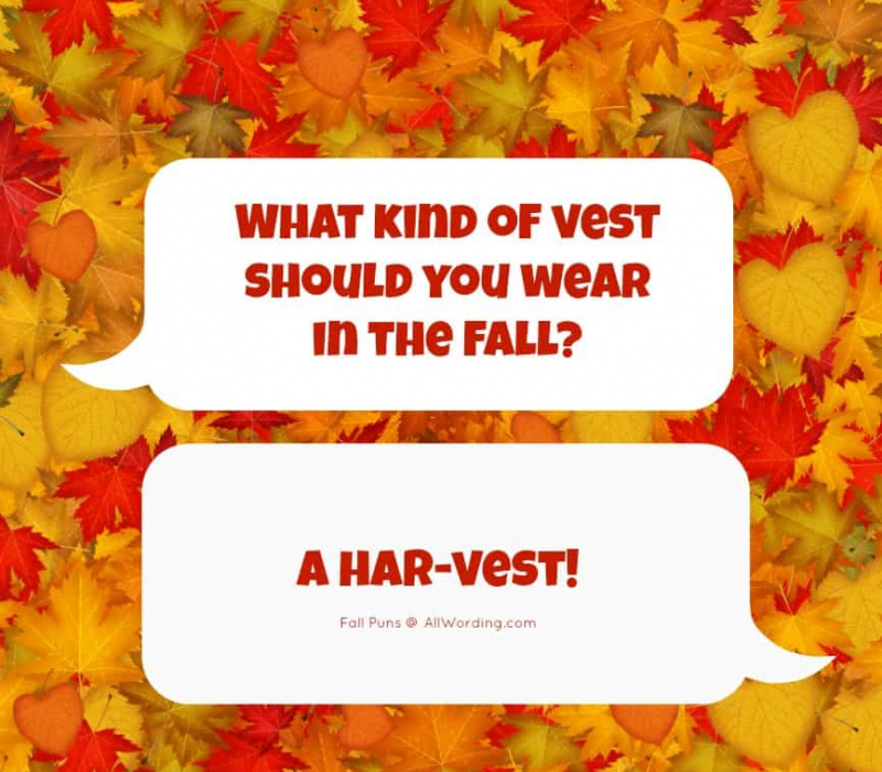 Quel type de gilet devriez-vous porter à l'automne? Une moisson !