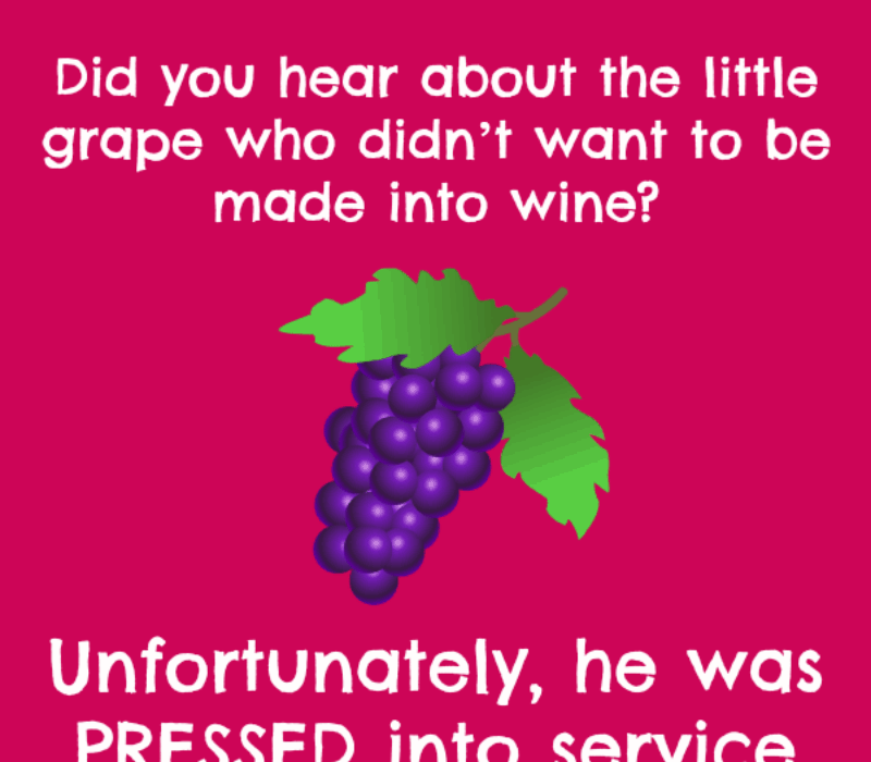   Kas sa kuulsid väikesest viinamarjast, kes seda tegi't want to be made into wine? Unfortunately, he was pressed into service!