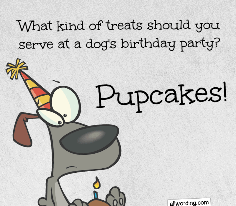  Kakve poslastice poslužiti psu's birthday party? Pupcakes!