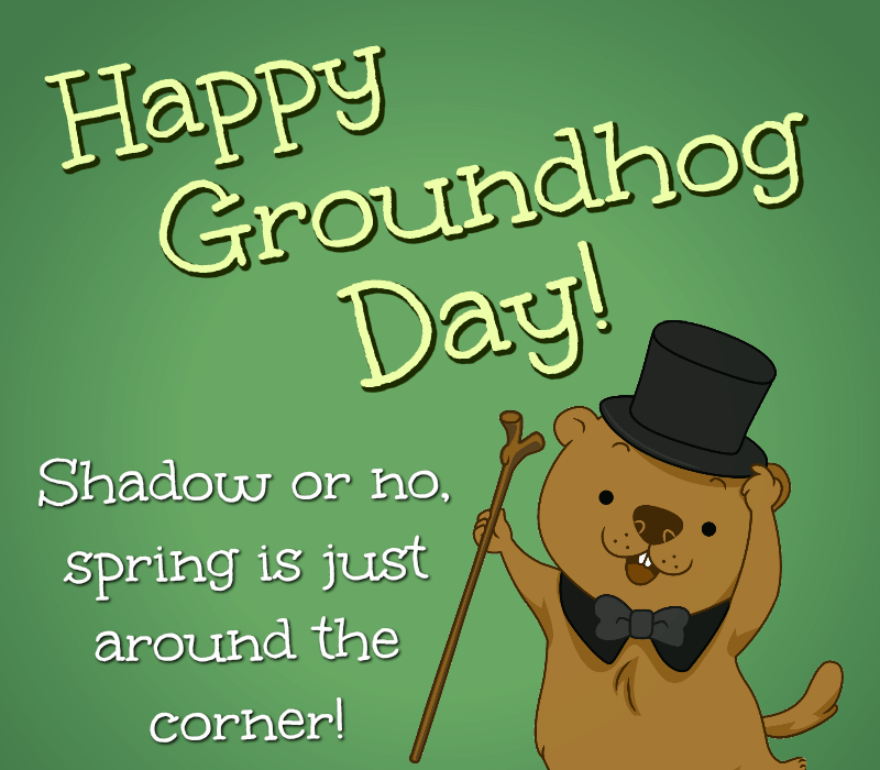 Feliz Dia da Marmota! Sombra ou não, a primavera está chegando!