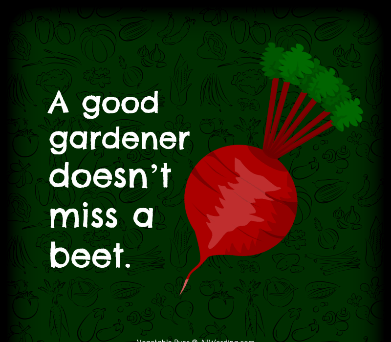 Un bon jardinier ne't miss a beet.