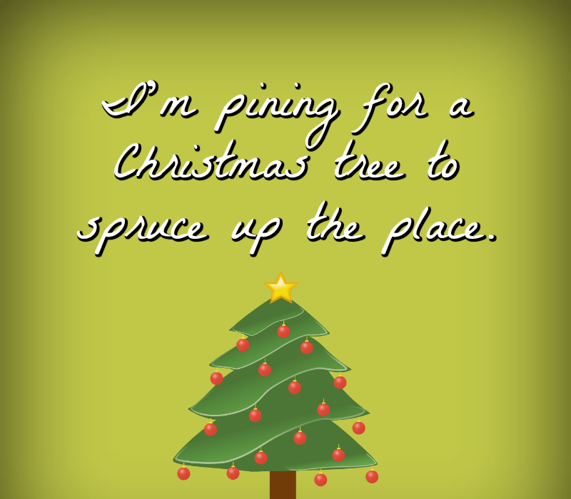   И'm pining for a Christmas tree to spruce up the place.