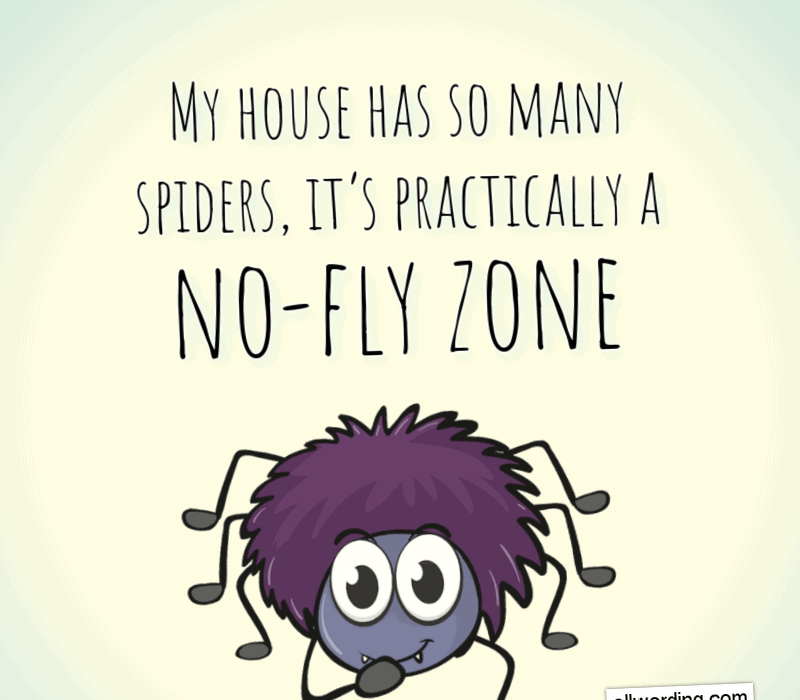   Το σπίτι μου έχει τόσες αράχνες's practically a no-fly zone.